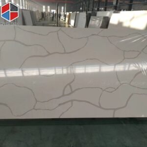 mmexport1515809509519