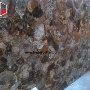 Madagascar-petrified-wood-slab-1