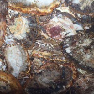 Madagascar-petrified-wood-slab-2
