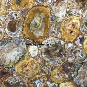 Madagascar-petrified-wood-slab-3