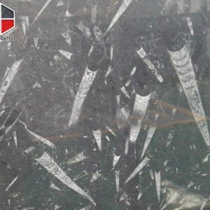 Marrocan-black-fossill-marble-slabs-3