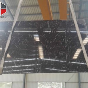 Marrocan-black-fossill-marble-slabs-4