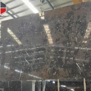 Marrocan brown fossill marble slab