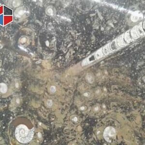 Marrocan-brown-fossill-marble-slab-2