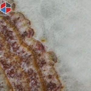 Red-ruby-onyx-slab-3